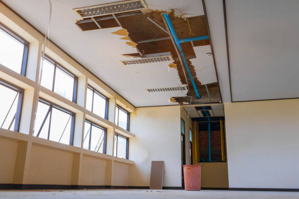Best Local water damage restoration  in Belfast, ME