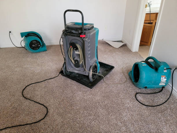 Best Water damage restoration near me  in Belfast, ME