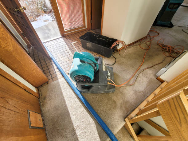 Best Carpet water damage restoration  in Belfast, ME