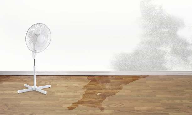 Professional Water damage restoration in Belfast, ME