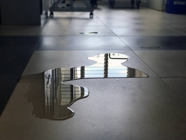 Best Water damage restoration experts  in Belfast, ME